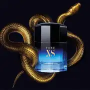 PR Pure 01 XS  2