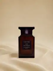 TF OUD VOYAGER  1