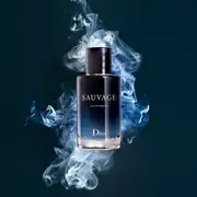 D 01 Sauvage  2