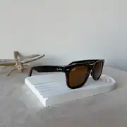 RB Wayfarer Limited Collection  1