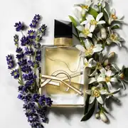 YSL 01  Libre  2