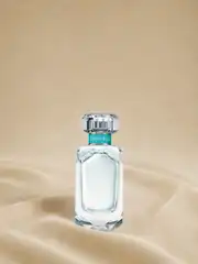 T&C Tiffany  1